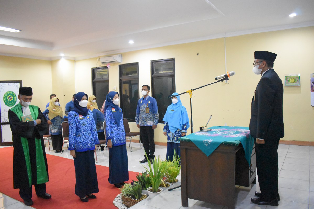 DSC 0293 1199x800