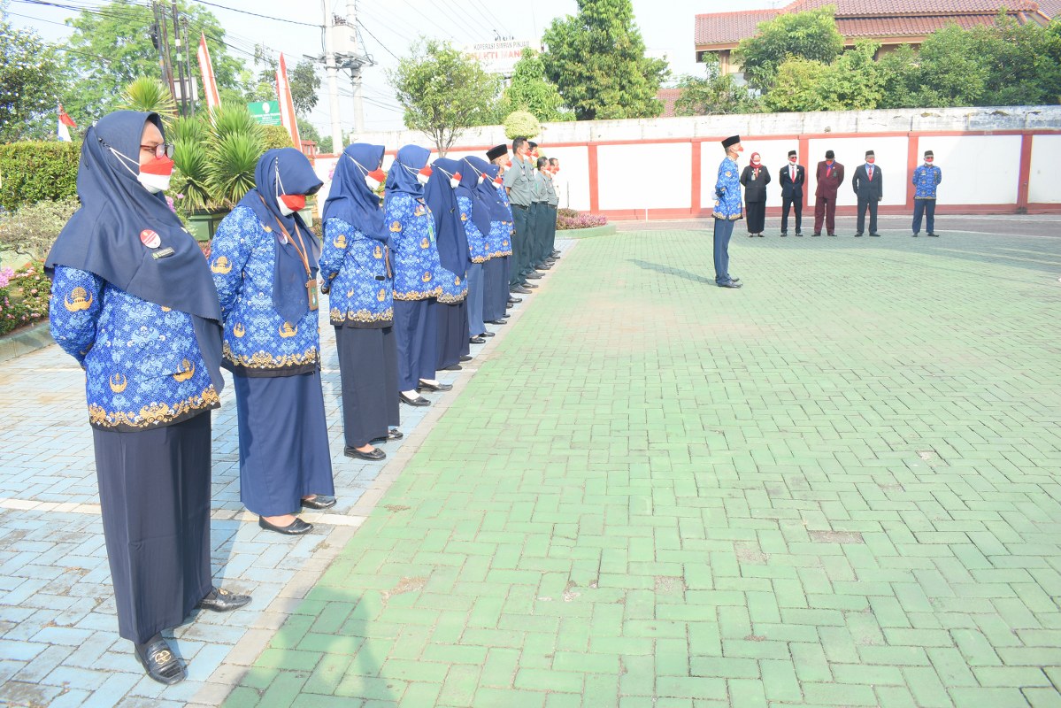 DSC 0767 1199x800