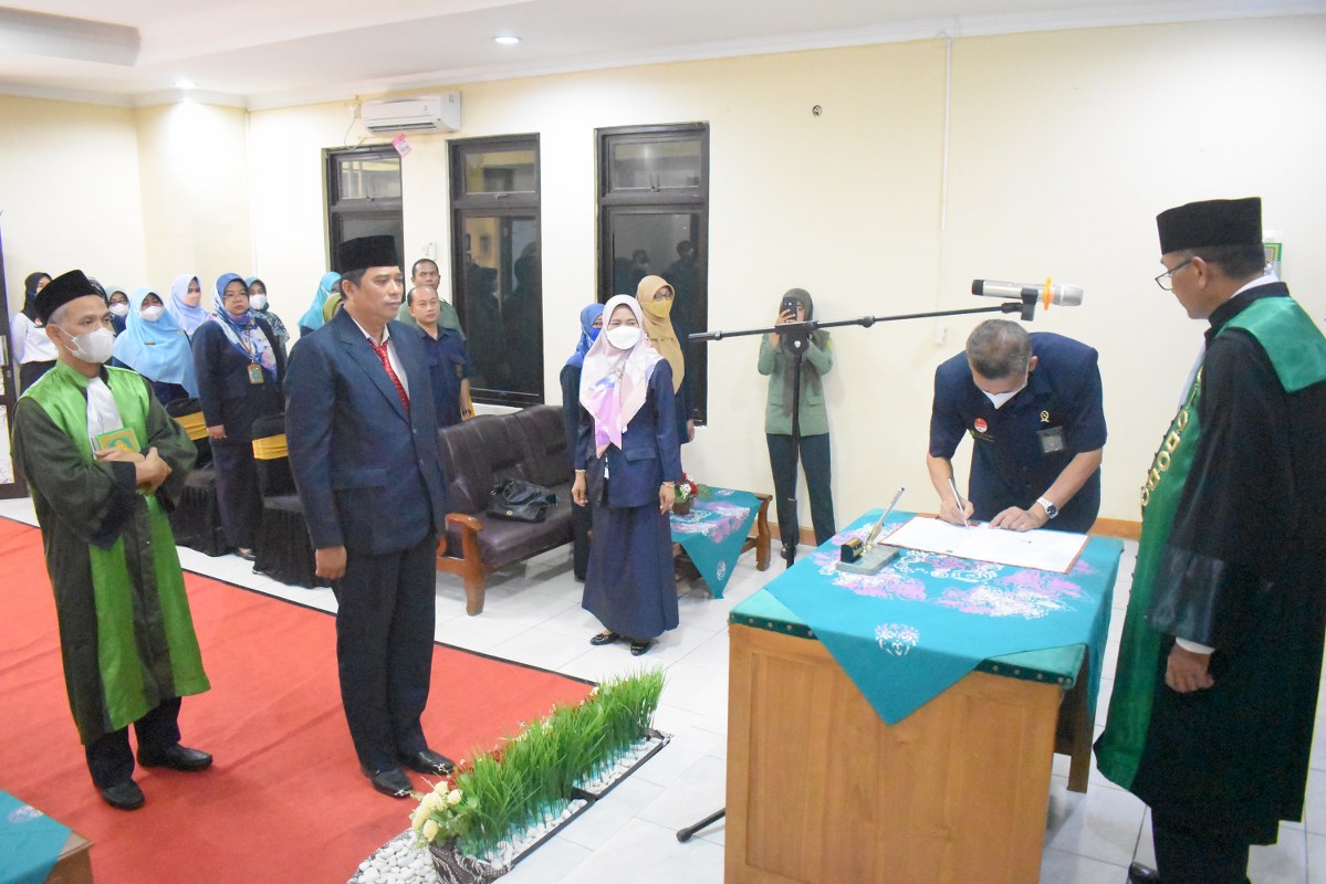 DSC 0333 1199x800